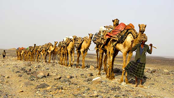 Etiopia del nord e Dancalia con l’esperta