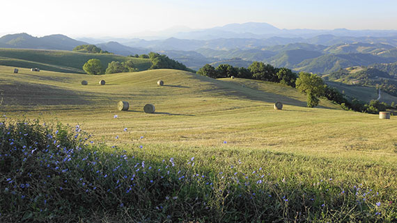 Marche: l'avventura che non ti aspetti (Speciale week-end)
